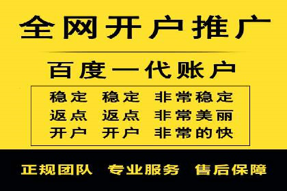 百度SEM广告策略在电商行业的成功案例